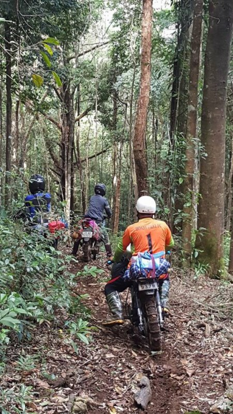 [OFFROAD 2 BÁNH] Cung đường Tám Bố QL28 - Di Linh