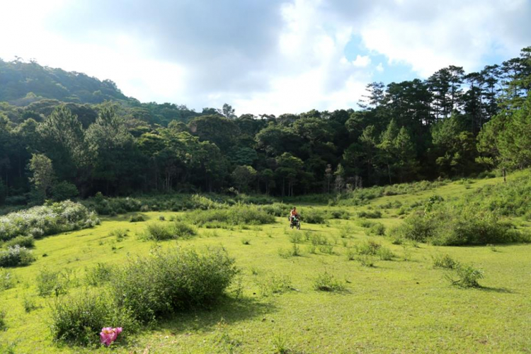 [OFFROAD 2 BÁNH] Cung đường Tám Bố QL28 - Di Linh