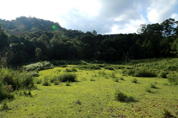 [OFFROAD 2 BÁNH] Cung đường Tám Bố QL28 - Di Linh