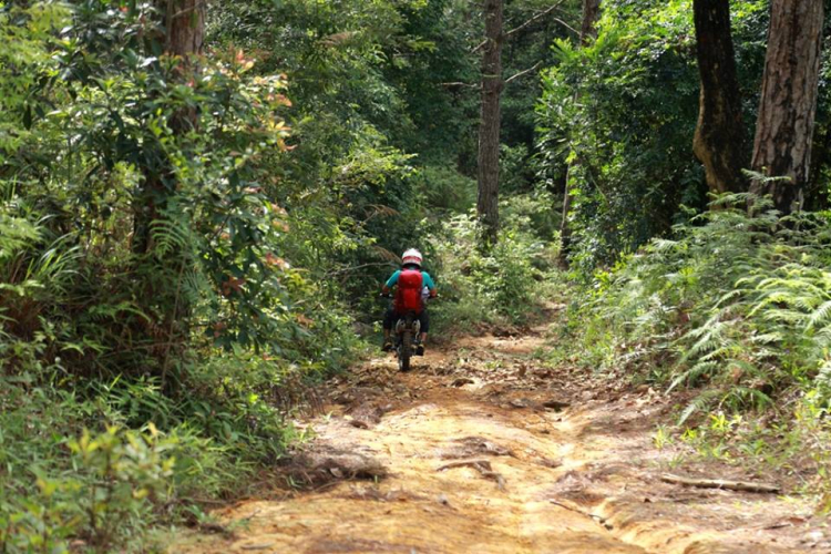 [OFFROAD 2 BÁNH] Cung đường Tám Bố QL28 - Di Linh