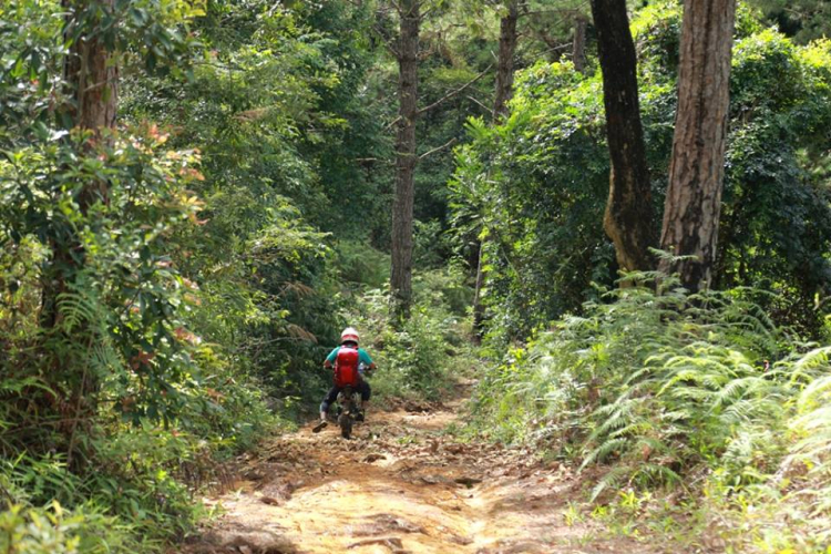 [OFFROAD 2 BÁNH] Cung đường Tám Bố QL28 - Di Linh