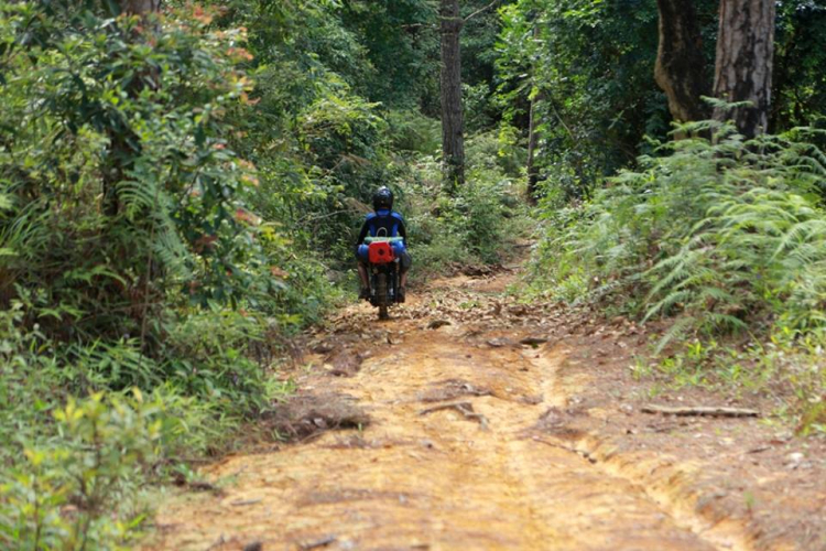 [OFFROAD 2 BÁNH] Cung đường Tám Bố QL28 - Di Linh