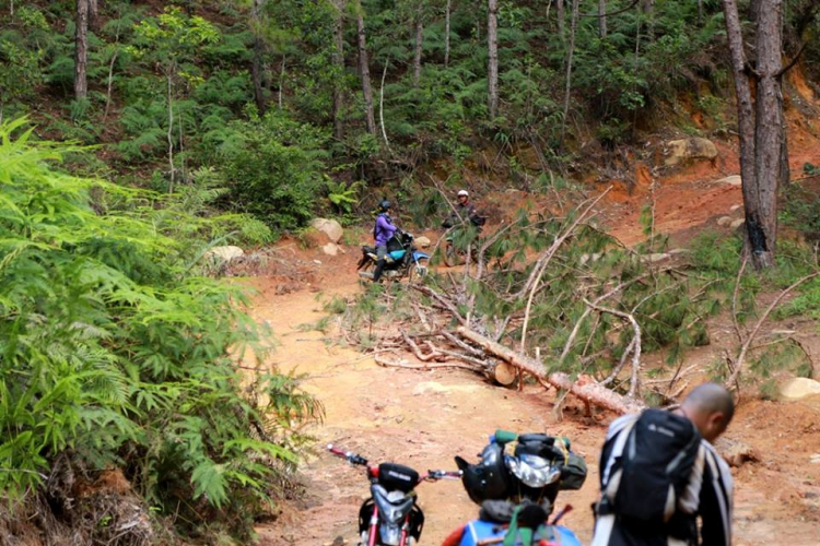 [OFFROAD 2 BÁNH] Cung đường Tám Bố QL28 - Di Linh