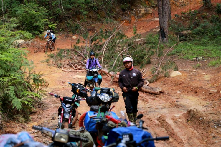 [OFFROAD 2 BÁNH] Cung đường Tám Bố QL28 - Di Linh