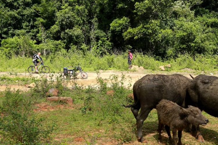 [OFFROAD 2 BÁNH] Cung đường Tám Bố QL28 - Di Linh