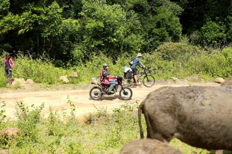 [OFFROAD 2 BÁNH] Cung đường Tám Bố QL28 - Di Linh