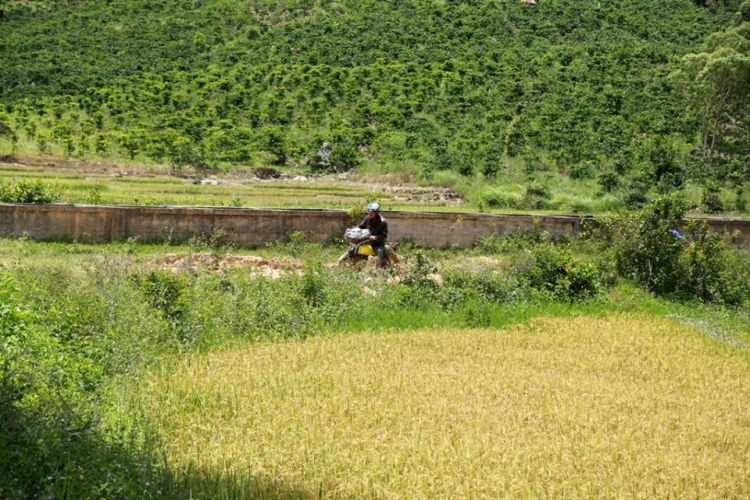 [OFFROAD 2 BÁNH] Cung đường Tám Bố QL28 - Di Linh