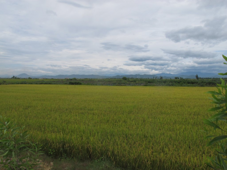 Huế - Ăn gì ở đâu thăm gì? (sưu tầm)