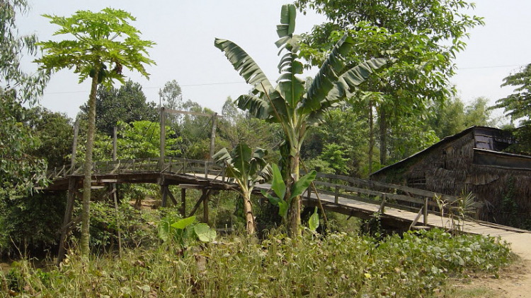 Bình thường thôi, nhưng giờ hiếm rồi. Bình thường thôi, nhưng giờ hiếm rồi.