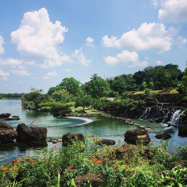 Sinh thái thuỷ châu?