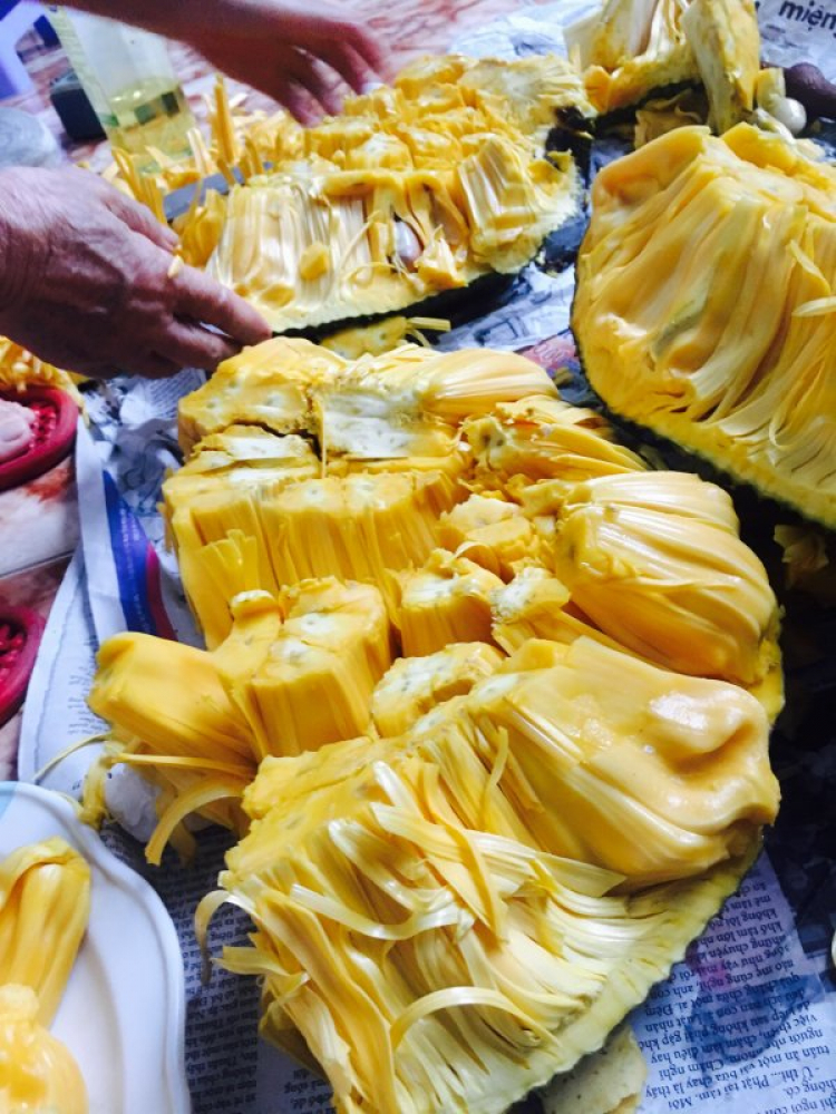 Phà Cát Lái- vài hình kỷ niệm