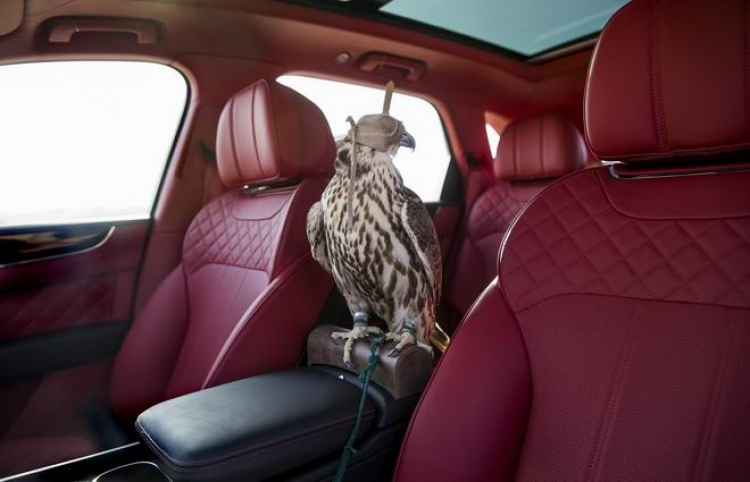 Bentley Bentayga Falconry: Cho nhà giàu sành chơi chim