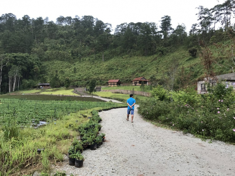 La An....nơi đáng qua đêm ở Đà Lạt