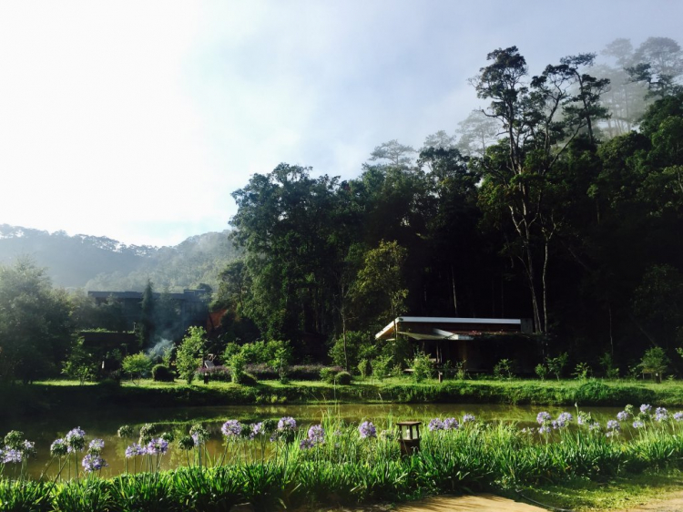 La An....nơi đáng qua đêm ở Đà Lạt