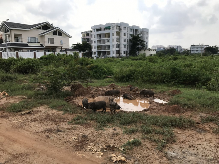 Cập Nhật Tình Hình KDC Bắc Rạch Chiếc Cập Nhật Tình Hình KDC Bắc Rạch Chiếc
