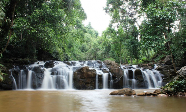 PHƠI THÁC