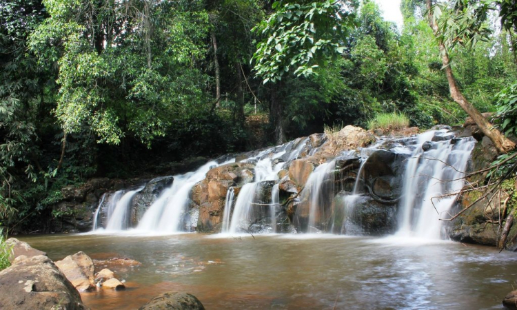 PHƠI THÁC