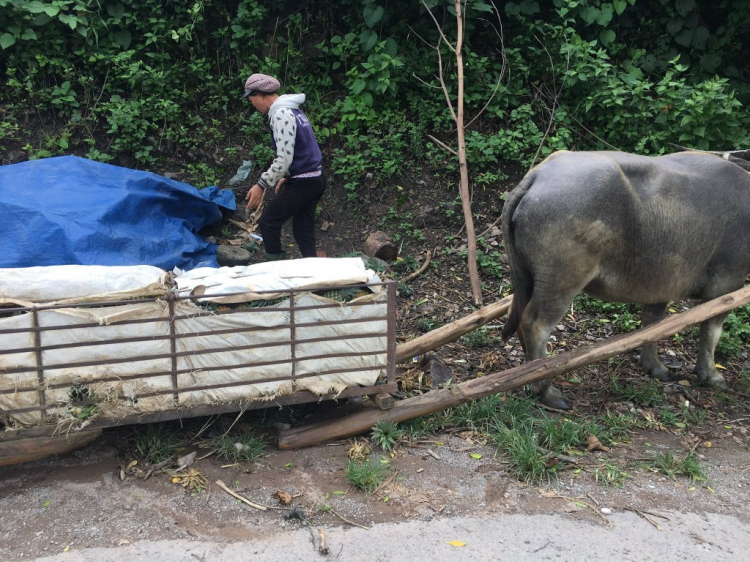 Hè Về, Chở Vợ Con Xuyên Việt.