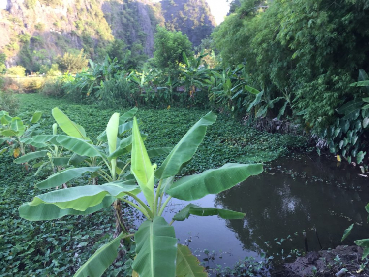 Hè Về, Chở Vợ Con Xuyên Việt. Hè Về, Chở Vợ Con Xuyên Việt.