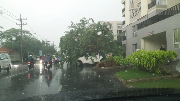 Tới lúc xui thì chạy đâu cũng không thoát.