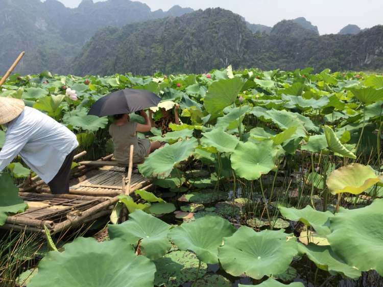 Hè Về, Chở Vợ Con Xuyên Việt.