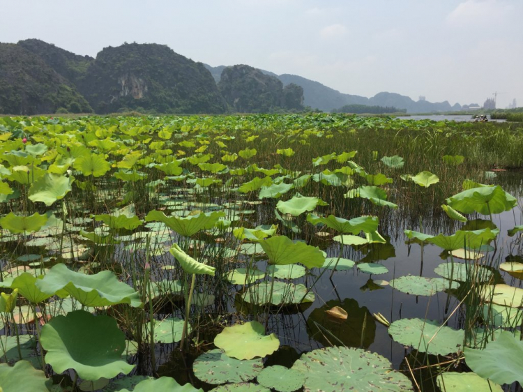 Hè Về, Chở Vợ Con Xuyên Việt.