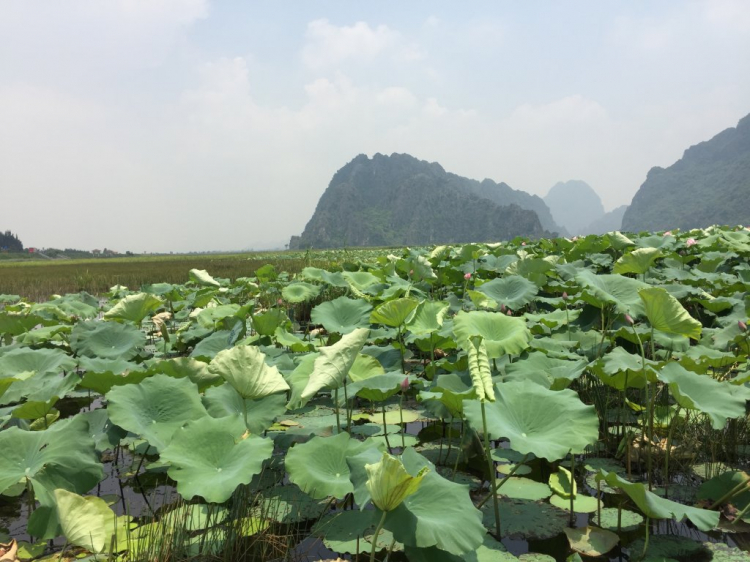 Hè Về, Chở Vợ Con Xuyên Việt.