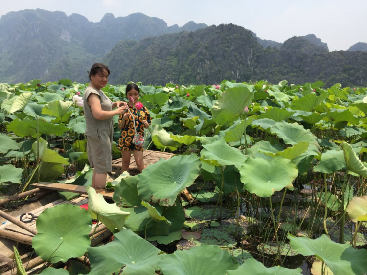 Hè Về, Chở Vợ Con Xuyên Việt.