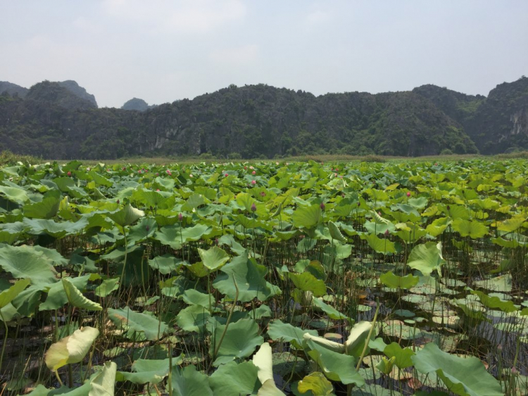 Hè Về, Chở Vợ Con Xuyên Việt.