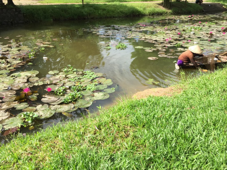 Hè Về, Chở Vợ Con Xuyên Việt.