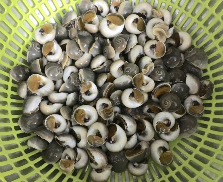 DU LỊCH LAGI DU LỊCH LAGI