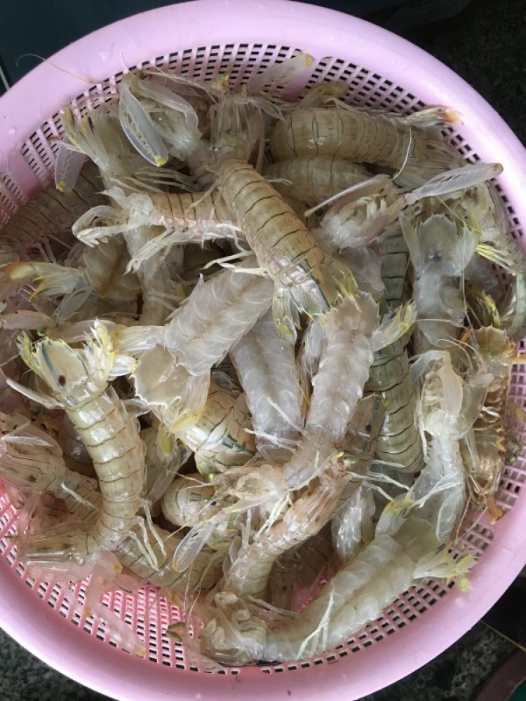 DU LỊCH LAGI DU LỊCH LAGI