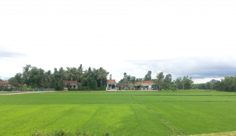 Xin hỏi đường từ BMT đi Phú Yên Xin hỏi đường từ BMT đi Phú Yên