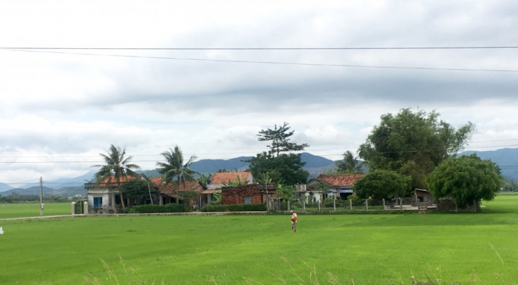 Xin hỏi đường từ BMT đi Phú Yên Xin hỏi đường từ BMT đi Phú Yên