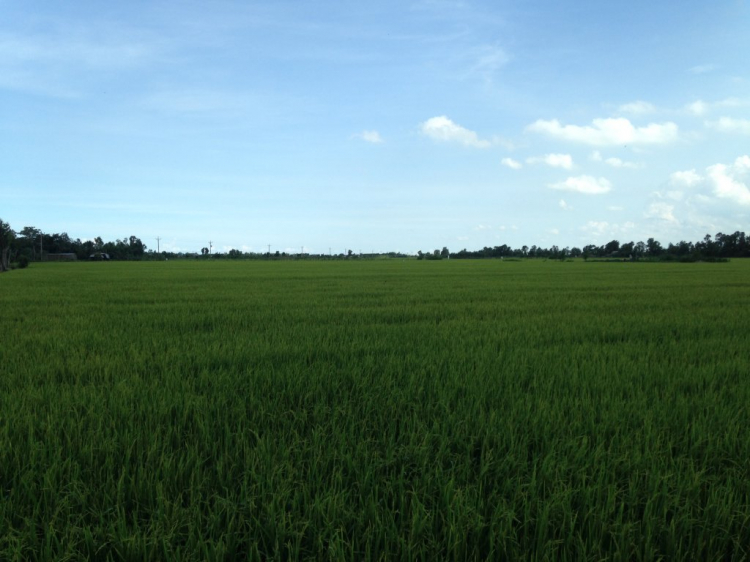 Độc hành vượt Cửu Long Giang Độc hành vượt Cửu Long Giang