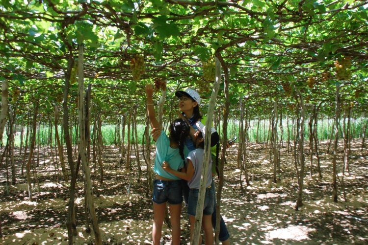 BiBim du lịch cùng Bim già