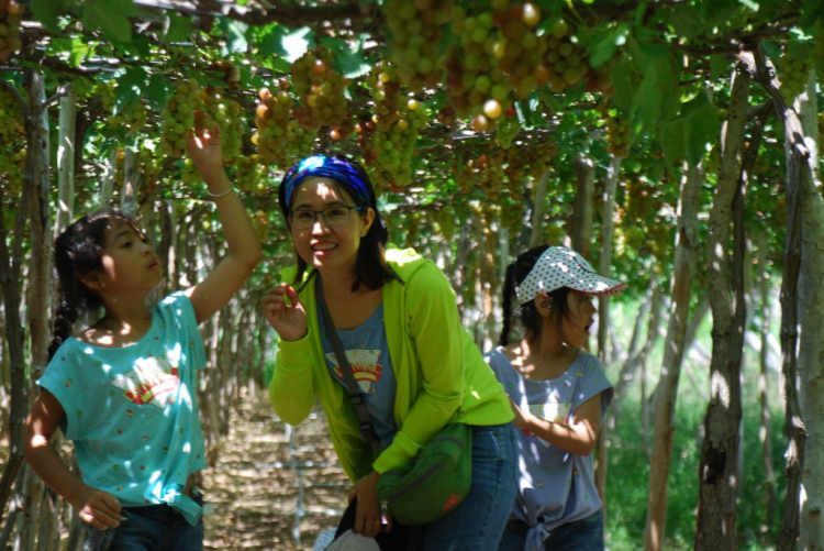 BiBim du lịch cùng Bim già