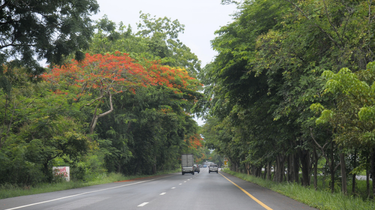 MBFC khởi hành Caravan Hè 2014 : Sài Gòn, Việt Nam – Phuket, TháiLan