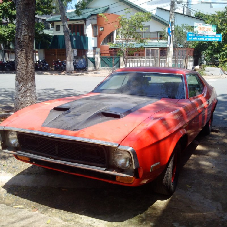 Kiếm 1 em mustang cổ