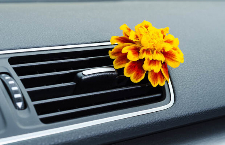 Làm sao để khử mùi xe hơi hiệu quả?