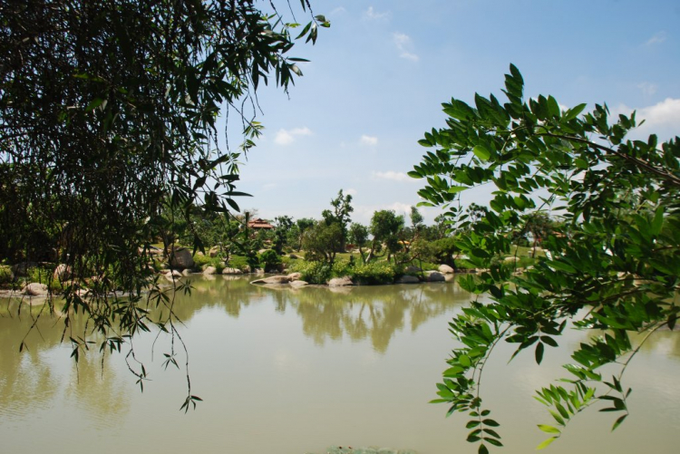 BiBim du lịch cùng Bim già BiBim du lịch cùng Bim già