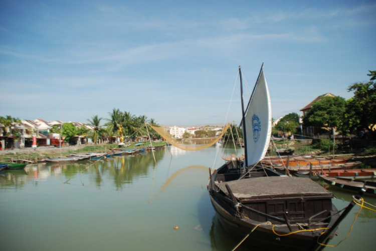 BiBim du lịch cùng Bim già BiBim du lịch cùng Bim già