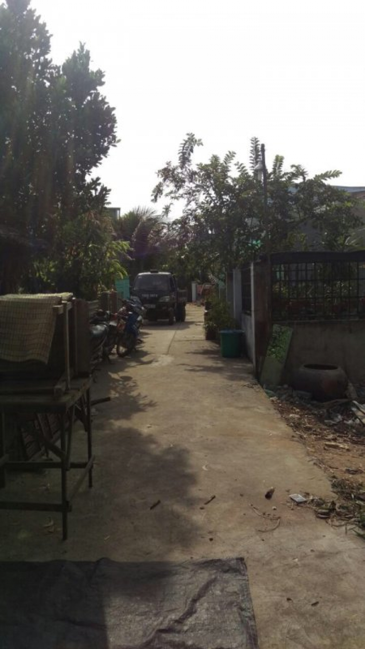 Cập nhật đất nền ở Nhà Bè Cập nhật đất nền ở Nhà Bè