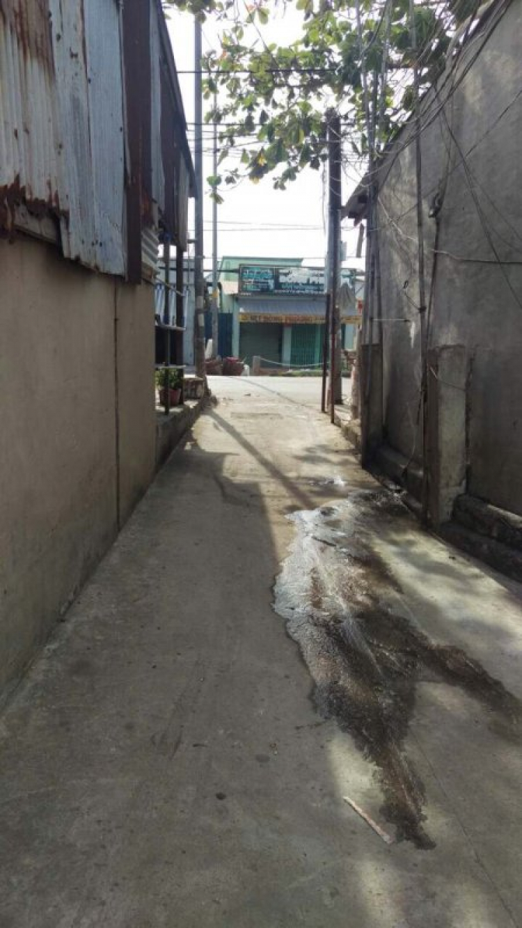Cập nhật đất nền ở Nhà Bè Cập nhật đất nền ở Nhà Bè