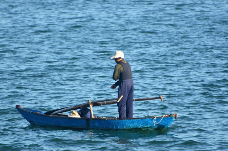 Mưu sinh .... không nhàn nhã