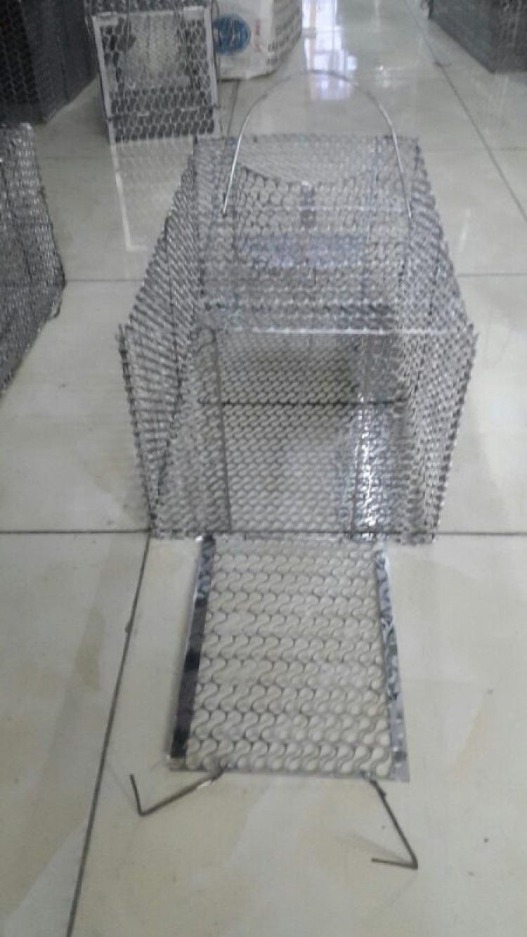 Khoang máy - Căn nhà lý tưởng của anh Tý