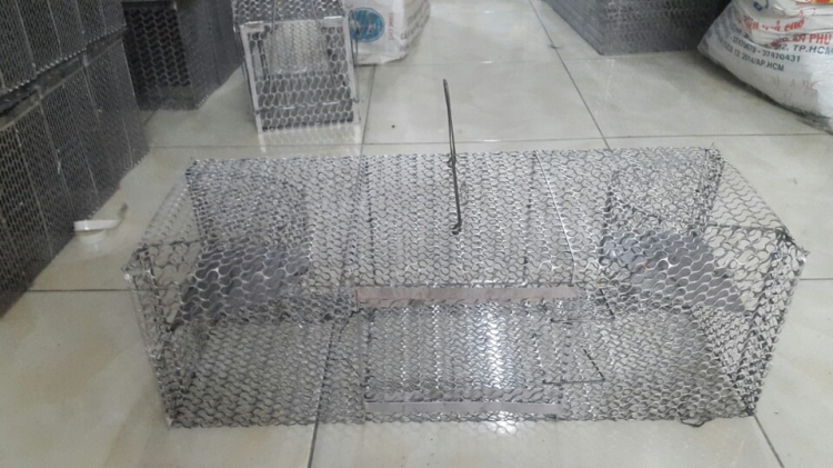 Khoang máy - Căn nhà lý tưởng của anh Tý