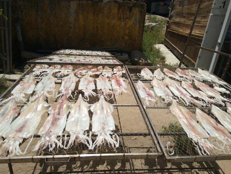 Jolie - Trên những nẻo đường Jolie - Trên những nẻo đường