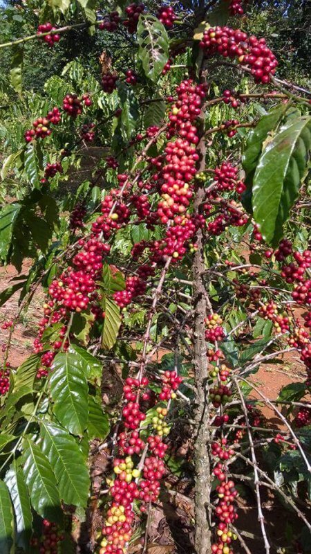 Đại tu máy Si 1..3 Đại tu máy Si 1..3