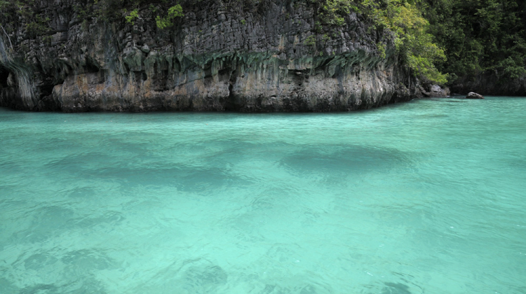 MBFC khởi hành Caravan Hè 2014 : Sài Gòn, Việt Nam – Phuket, TháiLan MBFC khởi hành Caravan Hè 2014 : Sài Gòn, Việt Nam – Phuket, TháiLan